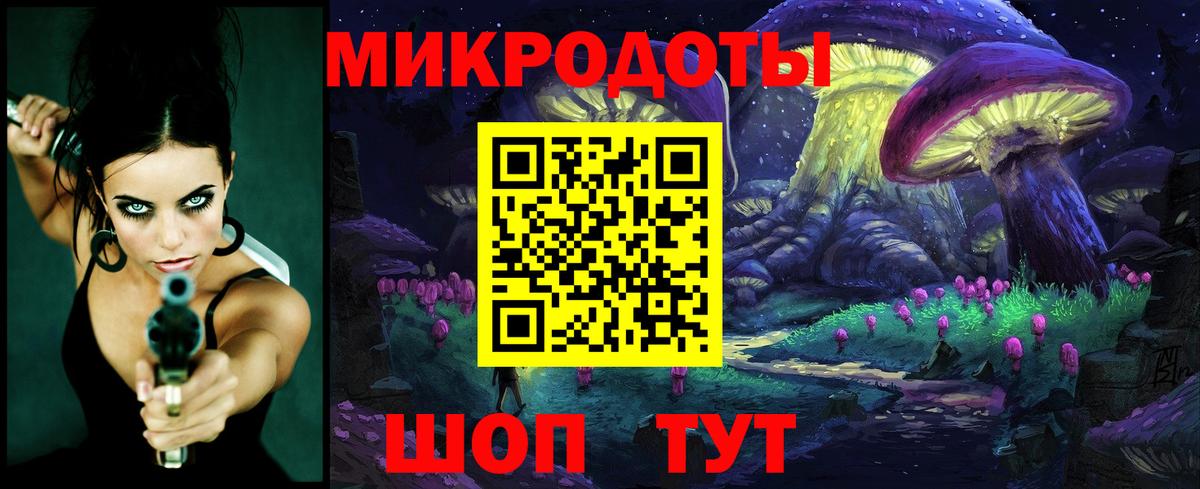 Псилоцибиновые грибы мицелий Гудермес