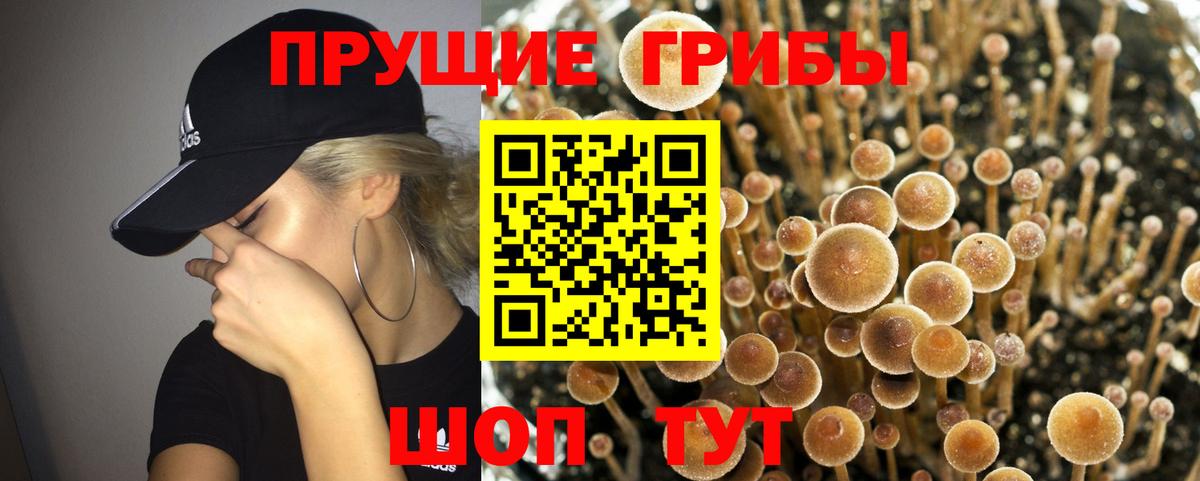 Псилоцибиновые грибы мухоморы  Вход с VPN  Галлюциногенные грибы MAGIC MUSHROOMS  Гудермес 